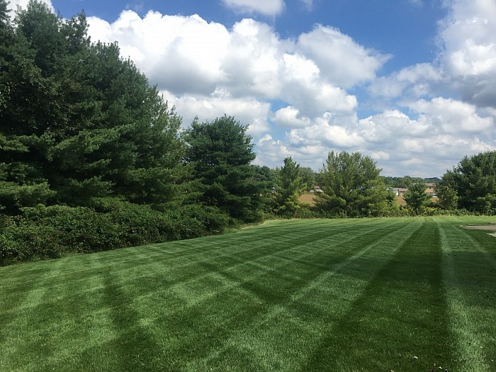 Lawncare