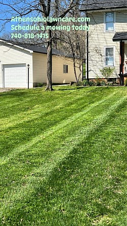 New lawn athens Ohio