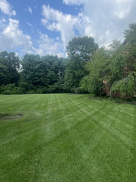 Lawncare